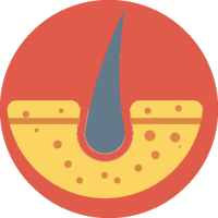 Dermatologie.png
