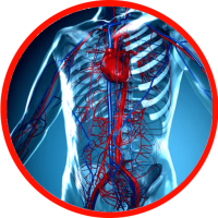 logo-4.png